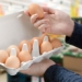 why in many countries brown eggs are usually more expensive than white eggs 135636