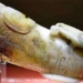 why people in ancient china used jade to fill the backdoor and rescue the curve when buried 119178