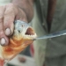 why piranha fish are extremely aggressive but still cannot dominate the amazon river 135736