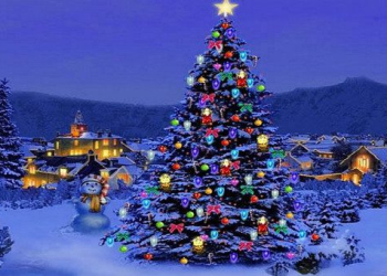 why traditional decoration and lighting of christmas trees 89247