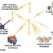 wireless journey from wi fi to wimax 2694