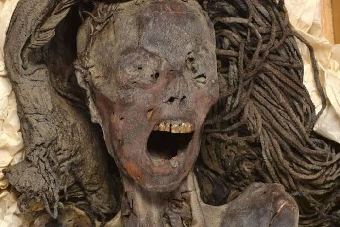 Many researchers are trying to explain the screaming face of the Egyptian mummy.