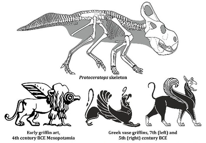 Comparison between the skeleton of a protoceratops dinosaur and the description of the ancient dieu su.