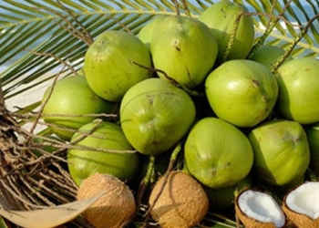 7 reasons to drink coconut water 25863