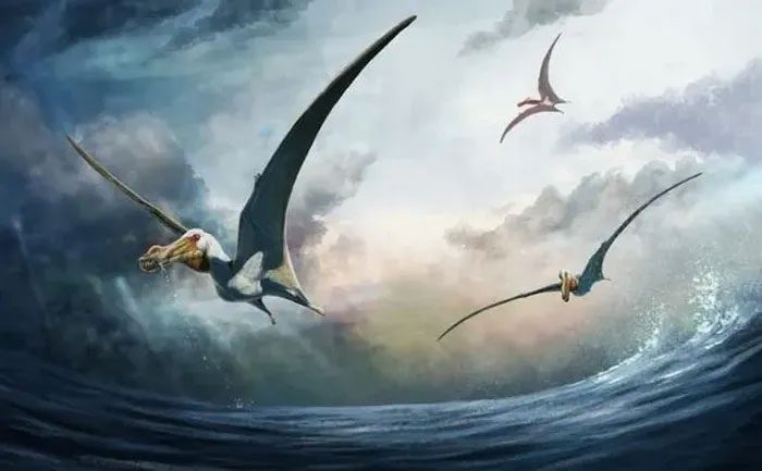 Giant flying reptile from the dinosaur era.