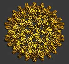 HepatitisB viemganB