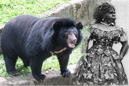 The Truth about "The Bear Woman"