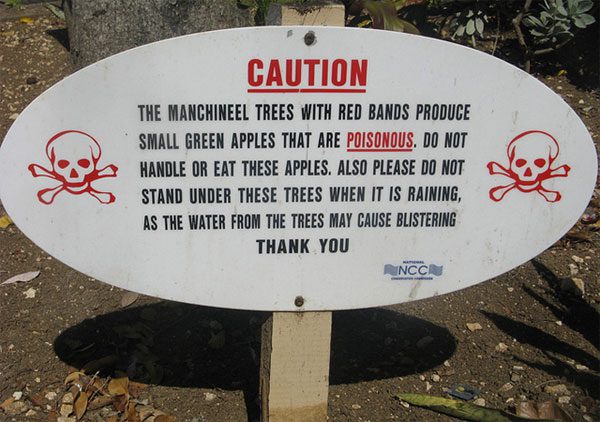 Warning sign about the dangers of the Manchineel tree