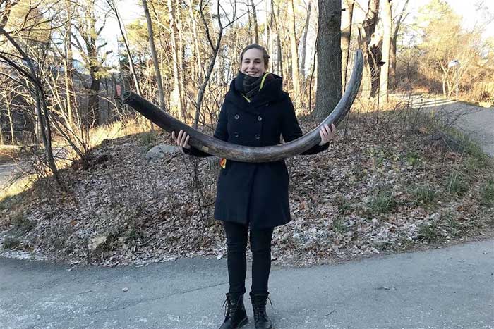 Evolutionary geneticist Marianne Dehasque with a mammoth tusk in Stockholm