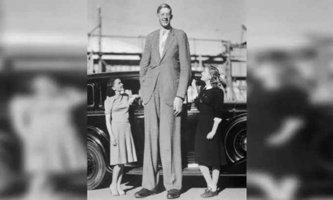  Robert Wadlow is the tallest man in history. 