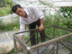 VoVanChinh