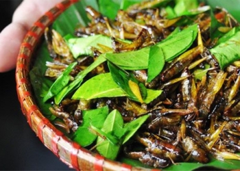 a special dish in the season vietnamese people love but has potential health risks that can cause death 134428