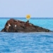 admire the meaning of the sunken ship in the bermuda triangle 56357