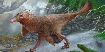 argentina discovers dinosaur bone 83 million years old