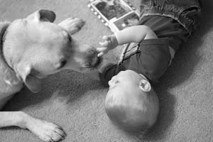 Children are the most susceptible to dog worm larvae