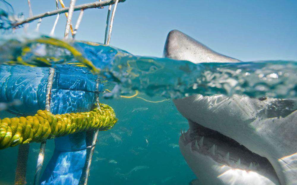 Gansbaai Beach, South Africa