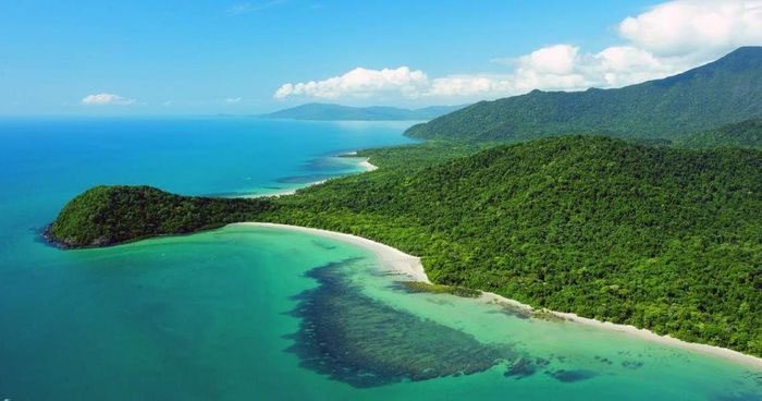 Cape Tribulation Beach filled with box jellyfish