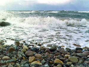 The Baltic Sea has the mildest salinity