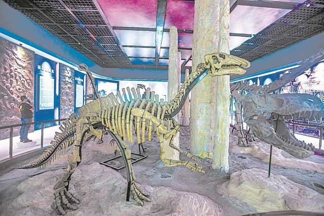 Inside the Dinosaur Museum.