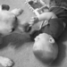 beware of communicable diseases from dogs 4979
