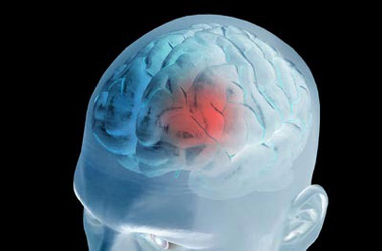 10 shocking facts about the human brain