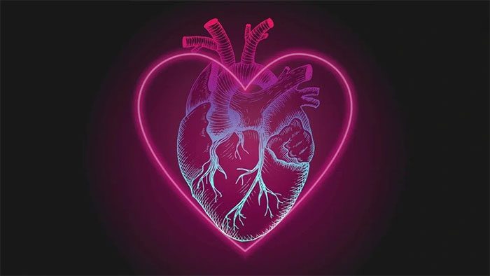 The commonly used heart symbol does not resemble a real human heart