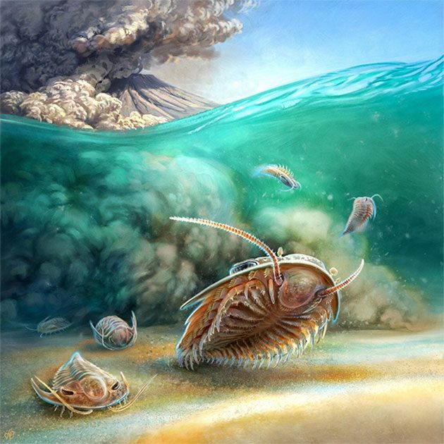 Cambrian "sea monsters" during a volcanic disaster 510 million years ago