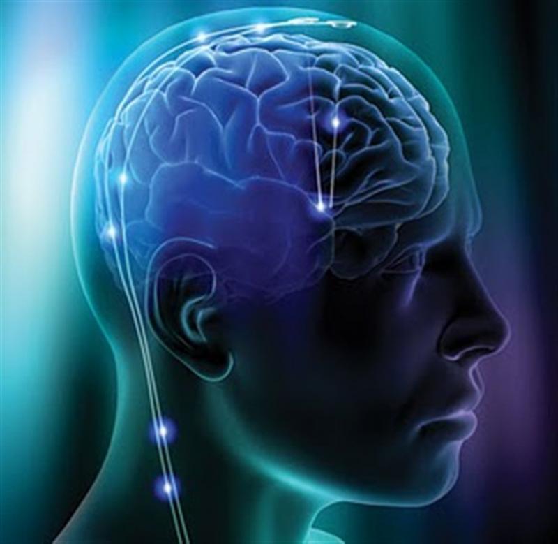 10 shocking facts about the human brain