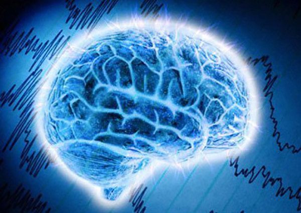 10 Shocking Facts About the Human Brain