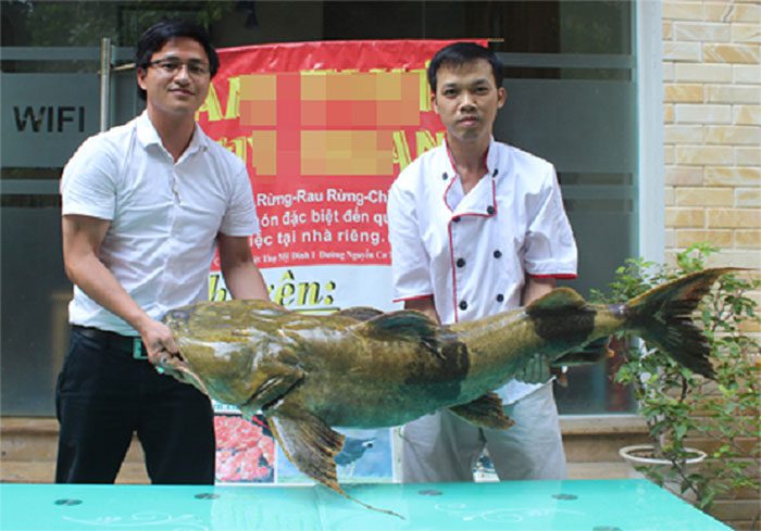 Rare "water monster" caught by a local near Trung Ha Bridge