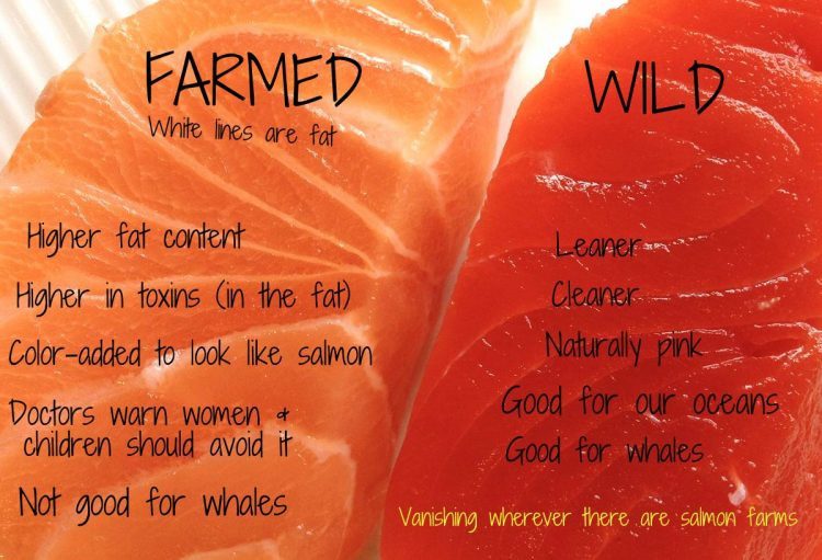 Coloring agents lead many to mistakenly believe they are consuming natural salmon.