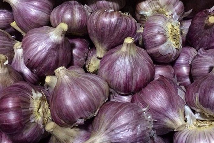 Purple garlic is a traditional remedy that can effectively prevent and support the treatment of flu, cough, and mild fever.