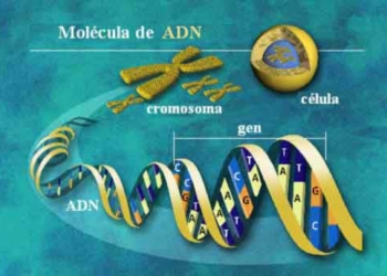 canada new dna testing method 3634