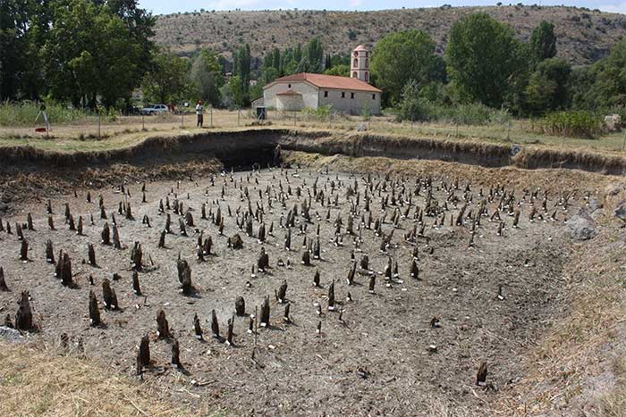 The wooden stilt field at Dispilio with 800 wooden posts from the ancient settlement.