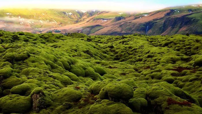 The island sits atop the Mid-Atlantic Ridge, where North America and Eurasia meet.