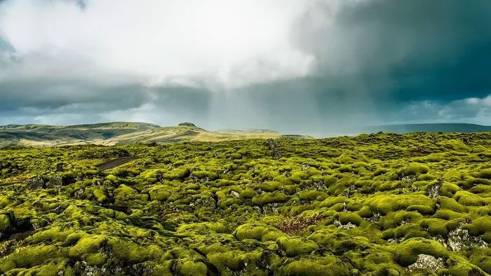 The Lava Fields