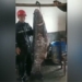 catching huge catfish weighing 73kg in ho chua 134968