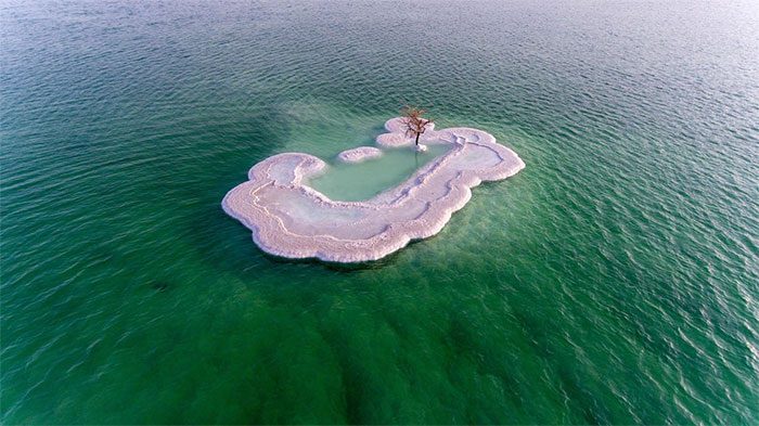 The tree on the Salt Island is such a remarkable sight that it leaves many astonished.