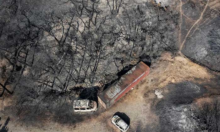 Trees burned due to wildfires in Rhodes, Greece