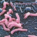 children also suffer from gastric ulcers 4636