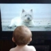 children under 2 years old should not watch tv 4510
