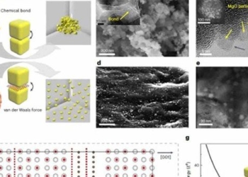 china announces breakthrough in application of technology engineering to create materials that have never existed 134539