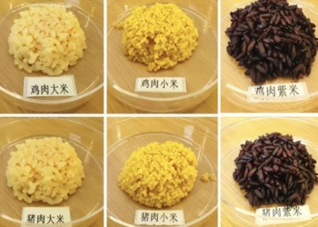 china creates rice from pig cells 135184