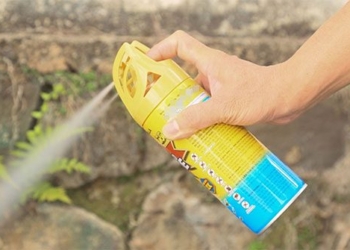 common mistakes about insect spray 134860