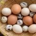 compare nutritional content of chicken eggs duck eggs quail eggs which is more nutritious 116269