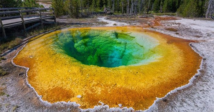 Archaea have been found in boiling water environments at Yellowstone National Park