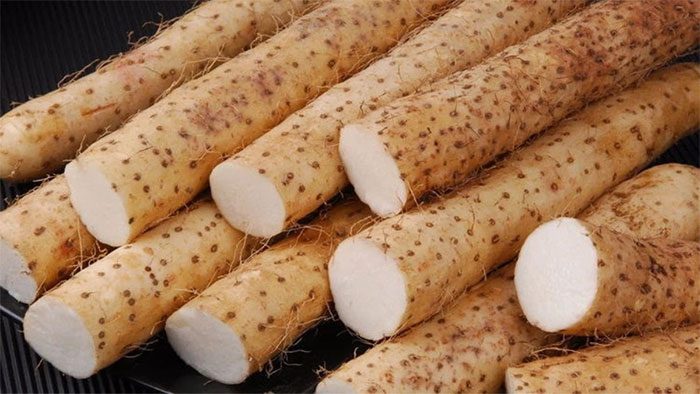 Chinese Yam