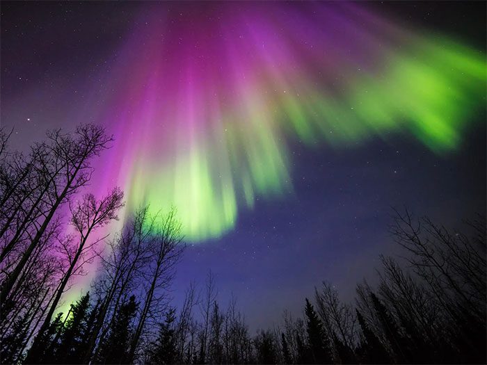 Aurora appearing in the sky over Alaska, USA