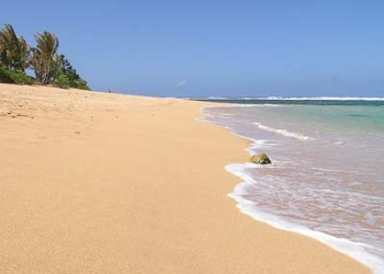 dao quy gam dao kauai 3792