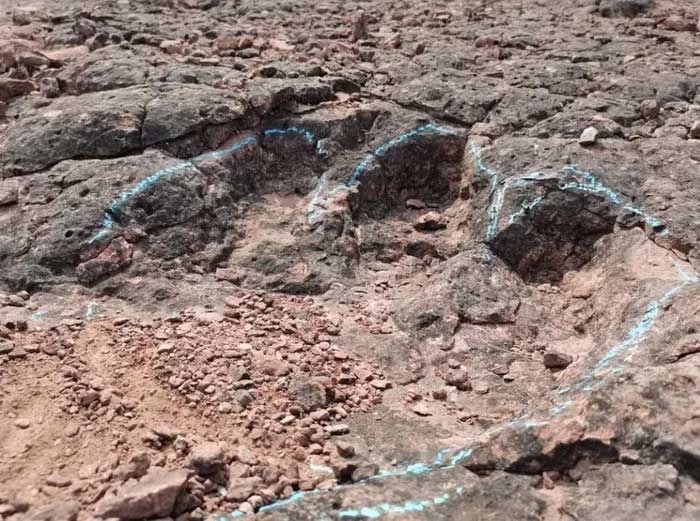 Fossilized dinosaur footprints at the site.